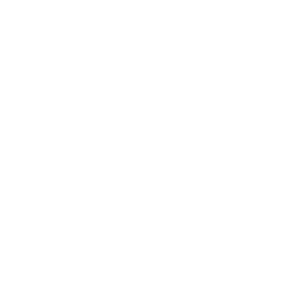e-xpertum